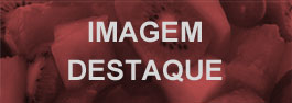 Noticia 3